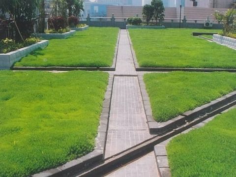 上海浦东新区园林绿化施工价格